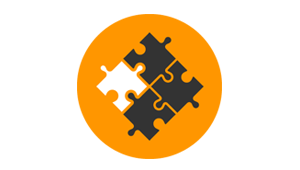 Software integration